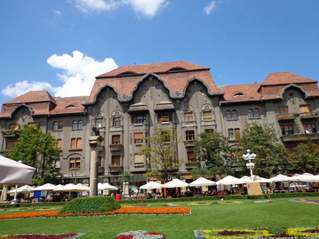 DSC00768 (800x600) (2)