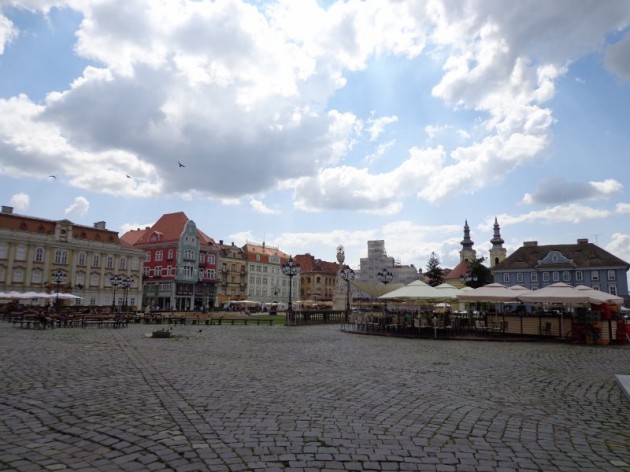 DSC00778 (800x600) (2)